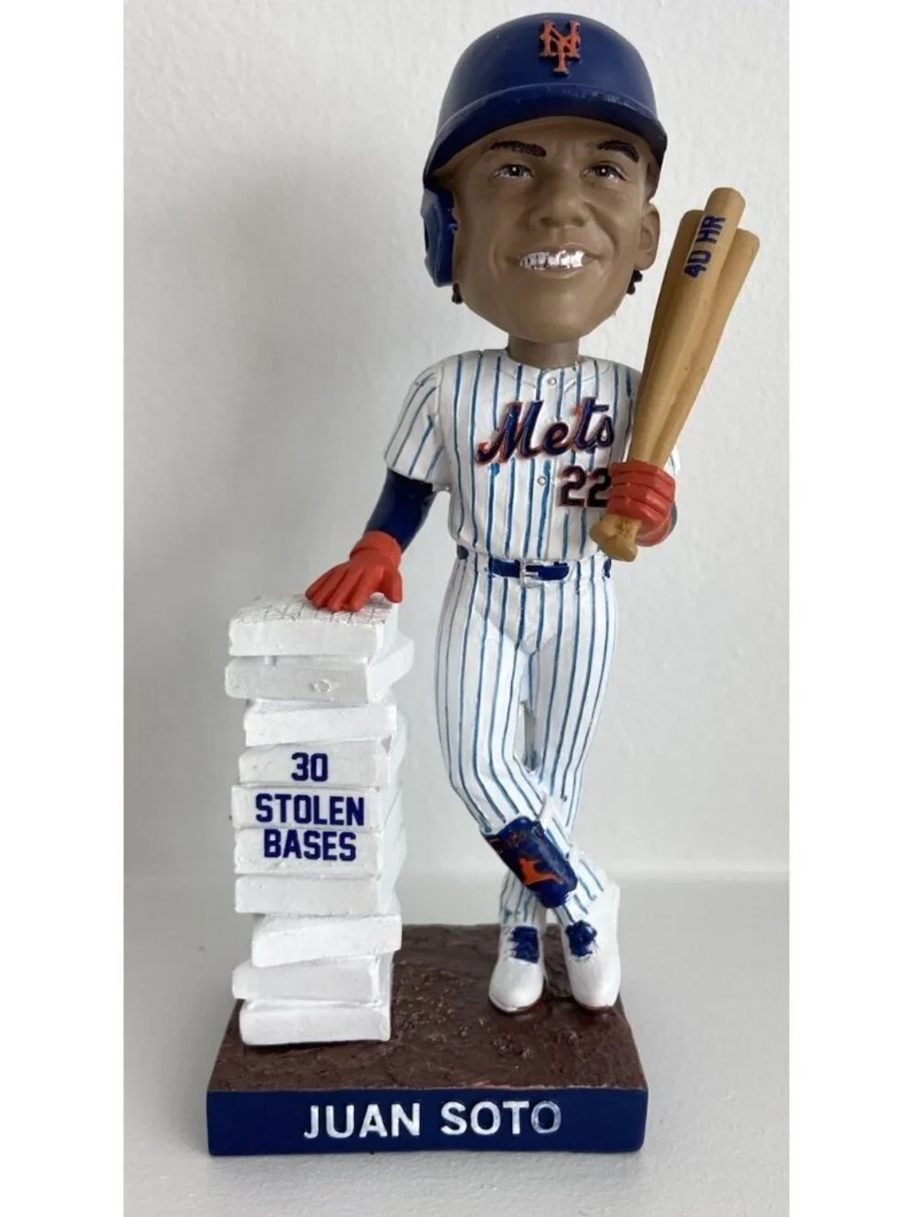 NY Mets removed dog